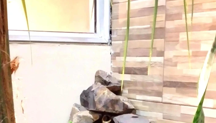 Abc Importaciones - Paysandú