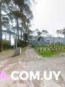 Abstrakto Cafe De Especialidad Street View Y 360 - Maldonado