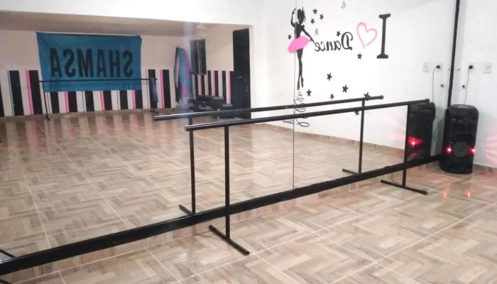 Academia De Baile Shamsa -  Videos - Ciudad del Plata