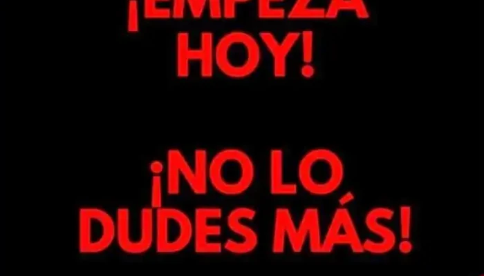 Academia De Choferes Accord -  Mas Recientes - Montevideo