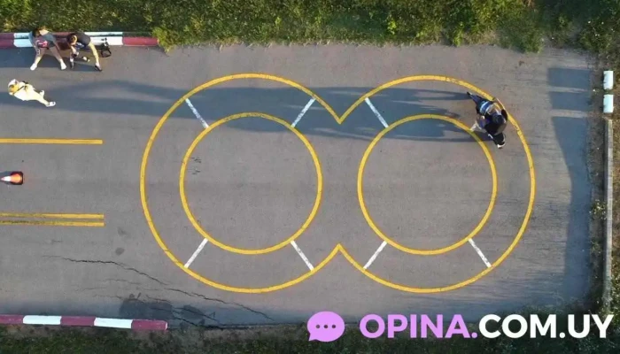 Academia De Choferes Am Mas Recientes - La Paz