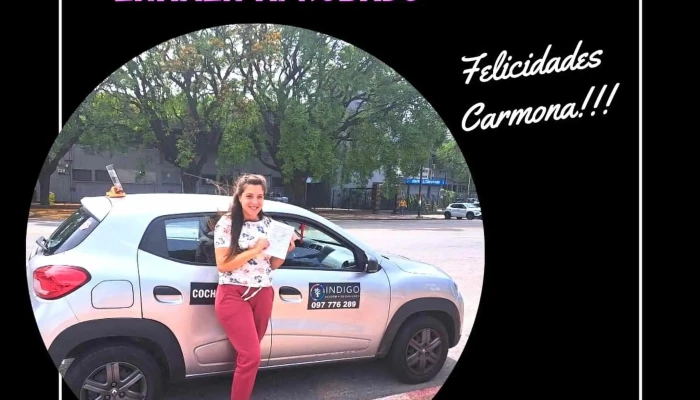 Academia De Choferes Indigo -  Comentarios - Montevideo