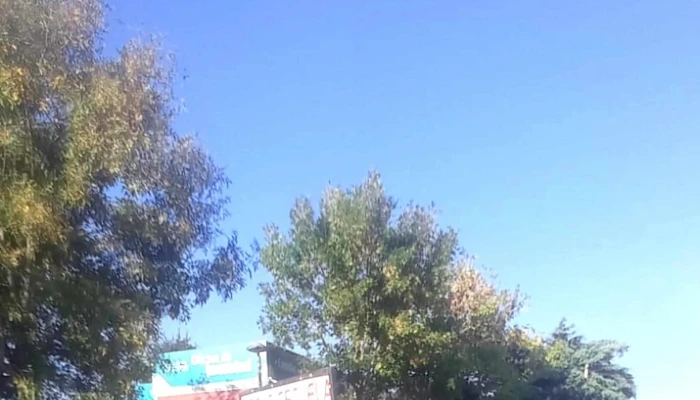 Academia De Choferes Js -  Opiniones - Maldonado