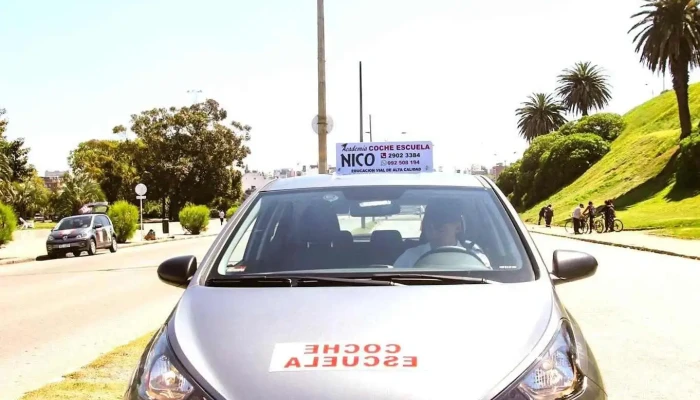 Academia De Choferes Nico -  Del Propietario - Montevideo