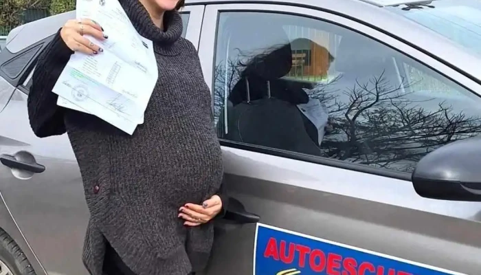 Academia De Choferes Transev -  Abierto Ahora - Maldonado