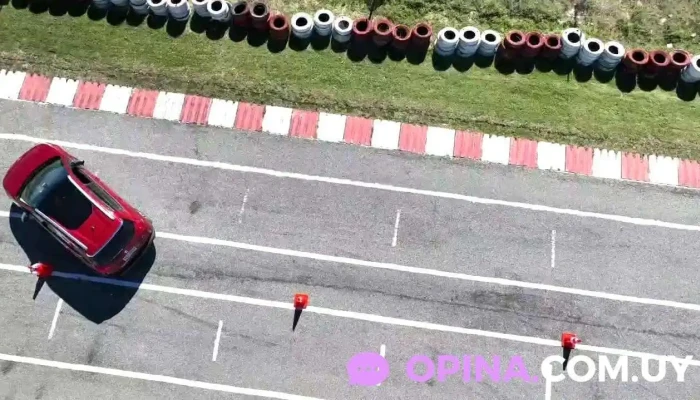 Academia De Choferes Transev -  Del Propietario - Maldonado