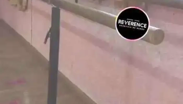 Academia De Danza Reverence Videos - Montevideo