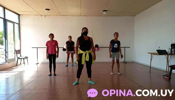 Academia De Danzas New Steps -  Del Propietario - Guich&oacute;n