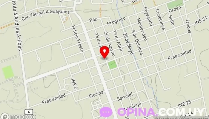 mapa de Academia de Danzas New Steps Academia de baile en Guichón