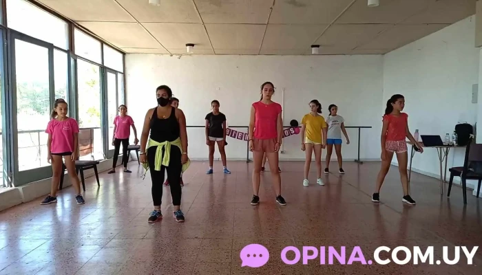 Academia De Danzas New Steps -  Videos - Guich&oacute;n