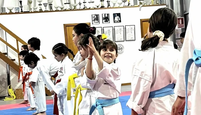 Academia De Karate Escuela Shotokan Maldonado -    Uruguay Telefono - Maldonado