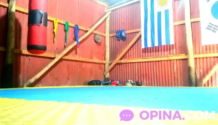 Academia De Taekwon -  Do Itf Instagram - Canelones