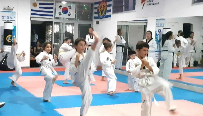 Academia De Taekwondo Solymar -  Telefono - Ciudad de la Costa