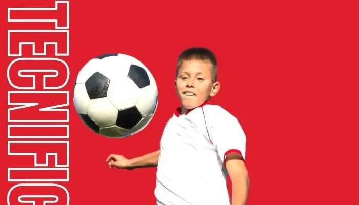 Academia De Tecnificacion Nelson Bevilacqua -  Del Propietario - Minas