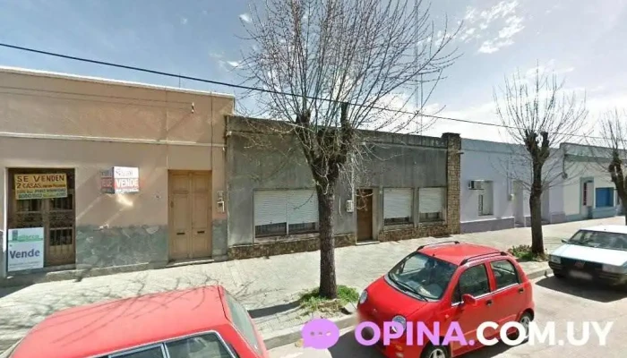 Academia Grasso - Nueva Palmira