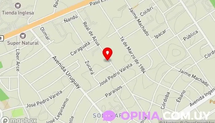 mapa de Academia K: para primaria y secundaria; web y redes para adultos; dibujo técnico; en Solymar Servicio de clases particulares en Ciudad de la Costa