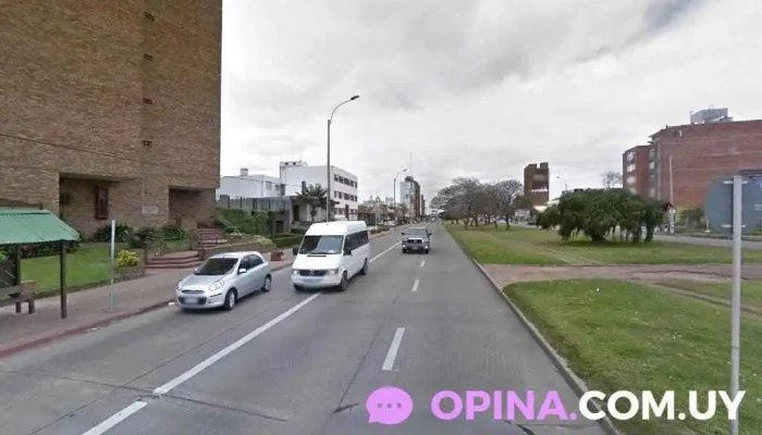 Academia Matrix Uruguay - Montevideo