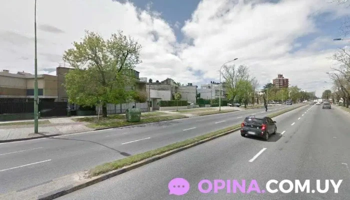 Academia Merlí - Montevideo