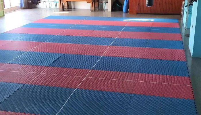 Academia Sae Jin -    Federacion Uruguaya De Taekwondo Fray Bentos - Fray Bentos