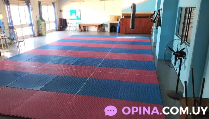 Academia Sae Jin -    Federacion Uruguaya De Taekwondo Videos - Fray Bentos