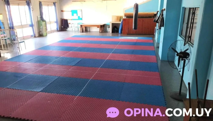 Academia Sae Jin - Federacion Uruguaya de Taekwondo - Fray Bentos