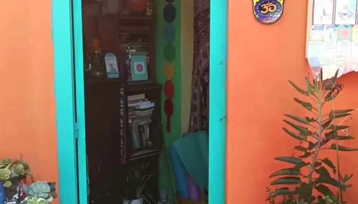 Academia Shankalpa Yoga Reiki Videos - Maldonado