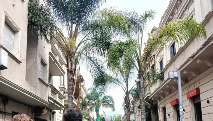 Academia Uruguay Spanish School -  Direccion - Montevideo