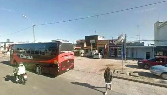 Academia Wtf Progreso -  Cerca De Mi - Progreso