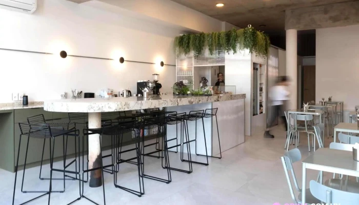 Acento Cafe Ambiente - Montevideo