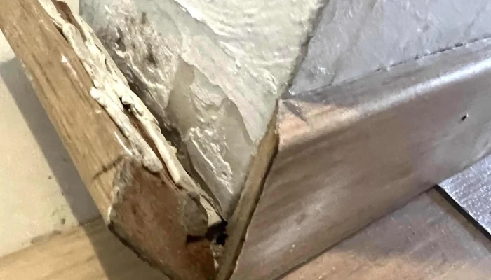 Acsa Inmobiliaria -    Casa Central Sitio Web - Montevideo