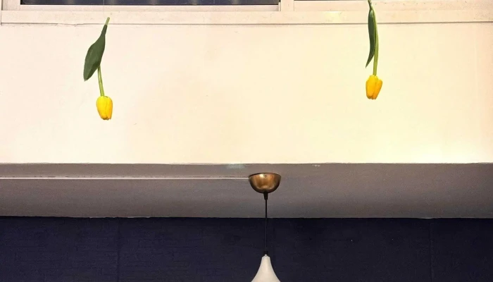 Adagio Libreria Cafe Comentario 1 - Montevideo