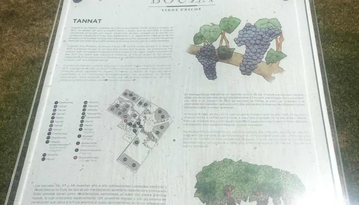 Adega Bouza -  Menu - Montevideo