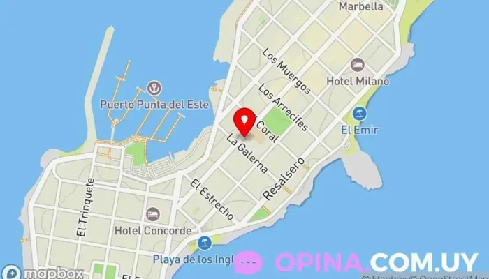mapa de Adriana Reyes Propiedades Agencia inmobiliaria en Punta del Este