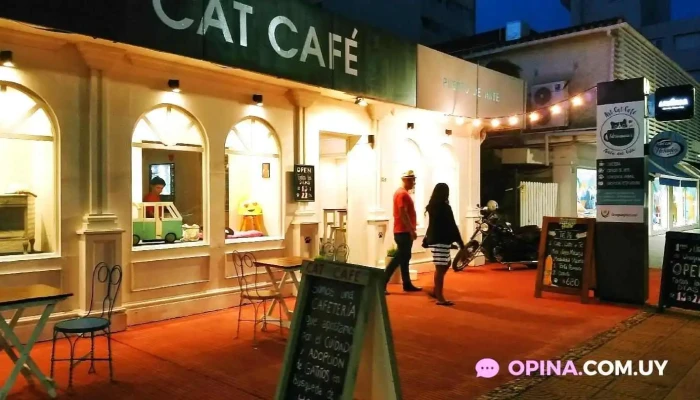 Adrianuzca´s Cat Café - Punta Del Este Adrianuzca´s Cat Café - Punta Del Este