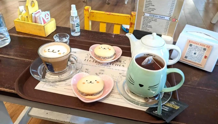 Adrianuzcas Cat Cafe Capuchino - Punta del Este