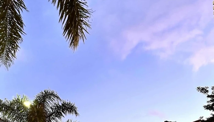 Adrianuzcas Cat Cafe Comentario 2 - Punta del Este