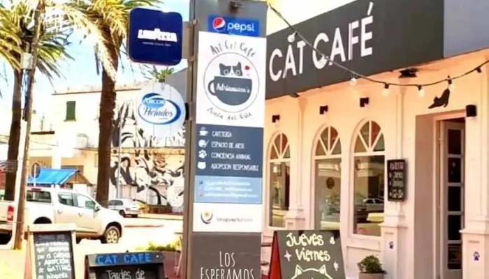 Adrianuzcas Cat Cafe Del Propietario - Punta del Este