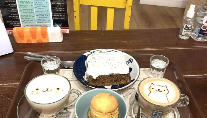 Adrianuzcas Cat Cafe Recientes - Punta del Este