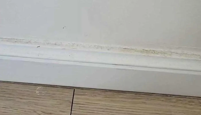 After Hotel Montevideo -  Mas Recientes - Montevideo