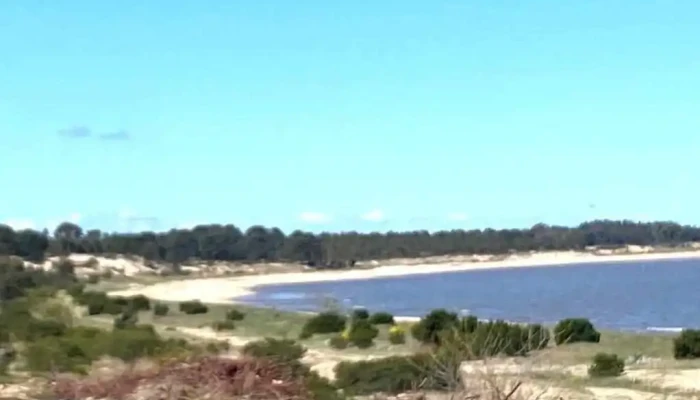 Ag Propiedades Inmobiliaria Rural Y Urbana Comentarios - Carmelo