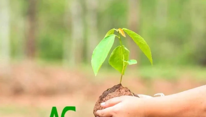 Ag Propiedades Inmobiliaria Rural Y Urbana Del Propietario - Carmelo