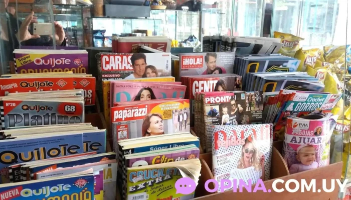 Agencia Tellechea - Minas