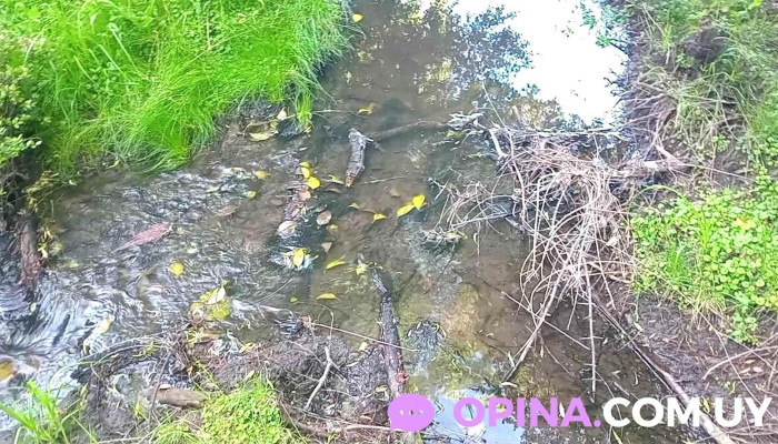 Agritegra Srl -    Los Pinos Videos - Aguas Corrientes