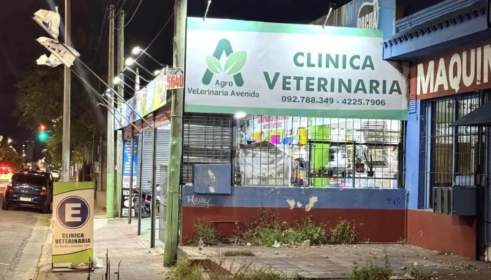 Agro Avenida Petshop y Veterinaria - 20000 Maldonado