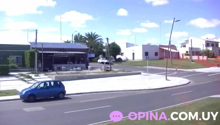 Agrobarraca - Libertad