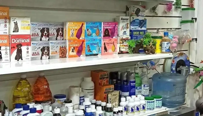 Agropecuaria San Silvestre - Camino Pajas Blancas Esquina