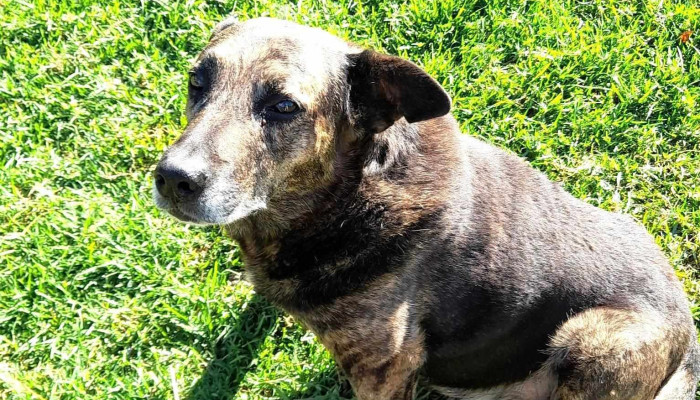 Agroraciones El Rastro - 20400 San Carlos