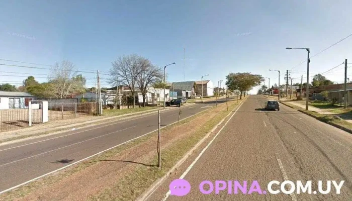 Agroveterinaria Avenida - 50000 Salto