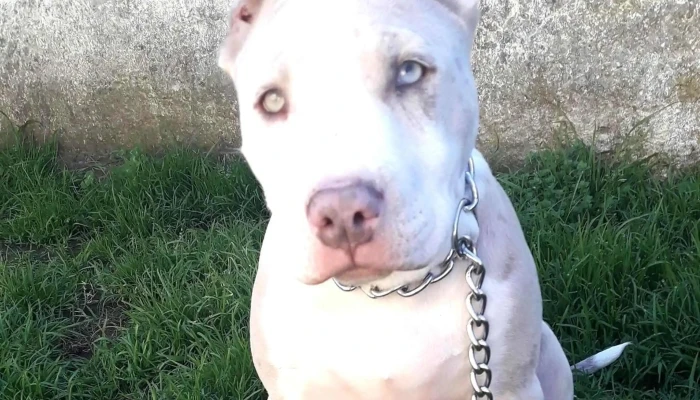 Agroveterinaria El Cimarron Promocion - Joaquín Suárez