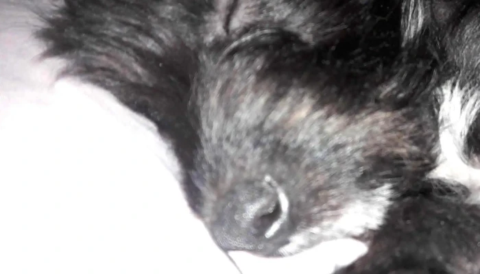 Agroveterinaria El Cimarron Puntaje - Joaquín Suárez